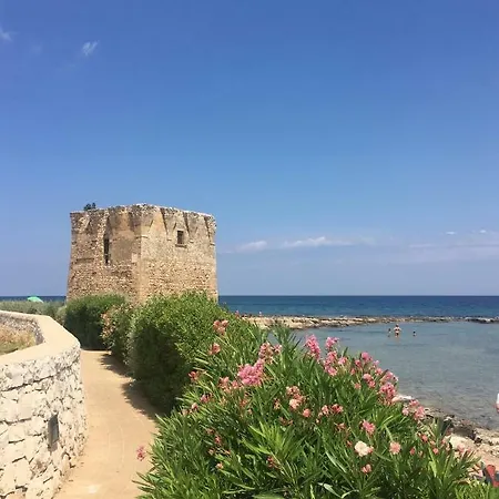 Almarea Blu - In Vicino Al Mare - Affitto Breve 滨海波利尼亚诺